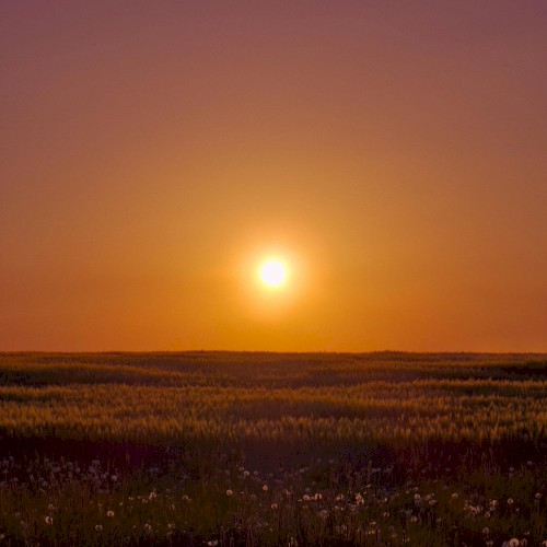 Golden Hour