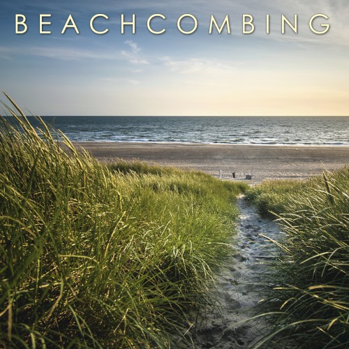 Beachcombing