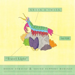 Travel Light (Diogo Strausz & Sound Support Remixes)