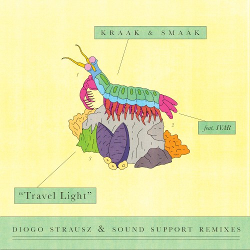 Travel Light (Diogo Strausz & Sound Support Remixes)