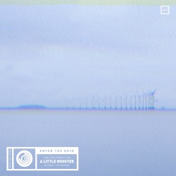 Enter the Dojo Instrumental - Vol. 3 (A Little Rooster)