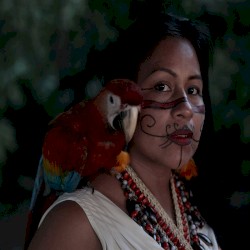 Eware - Território Sagrado