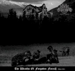 Wraiths of the Forgotten Forest
