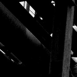 Machinic Phylum