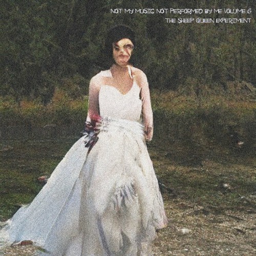 Not My Music Not Performed by Me, Vol. 6