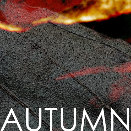 AUTUMN o6