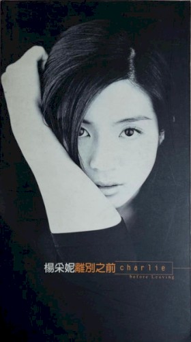 離別之前: before leaving