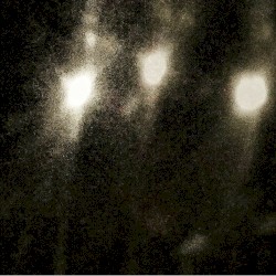 Croak at the Moon