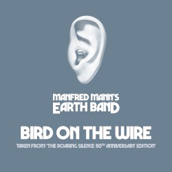Bird on the Wire