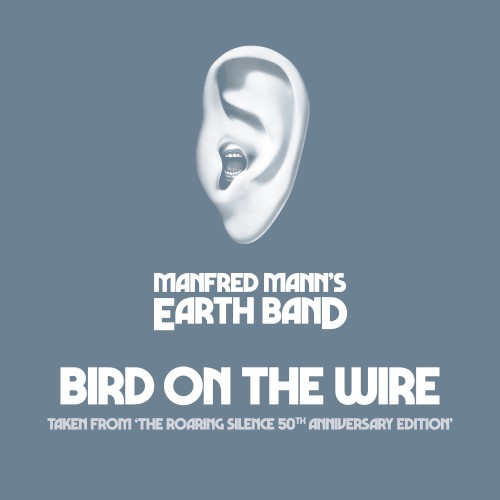 Bird on the Wire