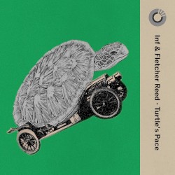 Turtle’s Pace