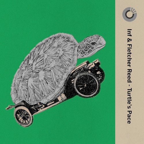 Turtle’s Pace
