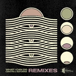 What I Can Do (Mfinity Remix)