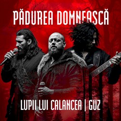 Pădurea Domnească