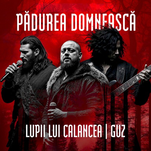 Pădurea Domnească