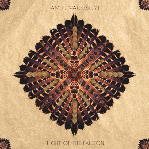 Flight of the Falcon