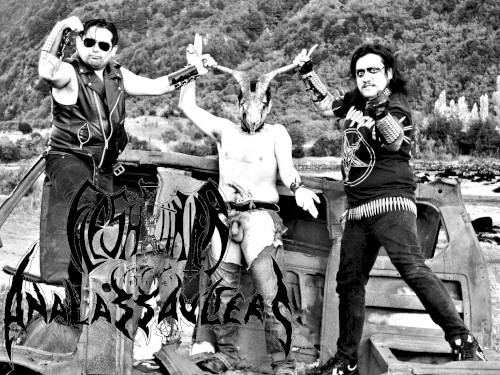 Black Leather Allegiance