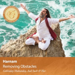Removing Obstacles