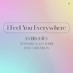 I Feel You Everywhere (Antibodies)