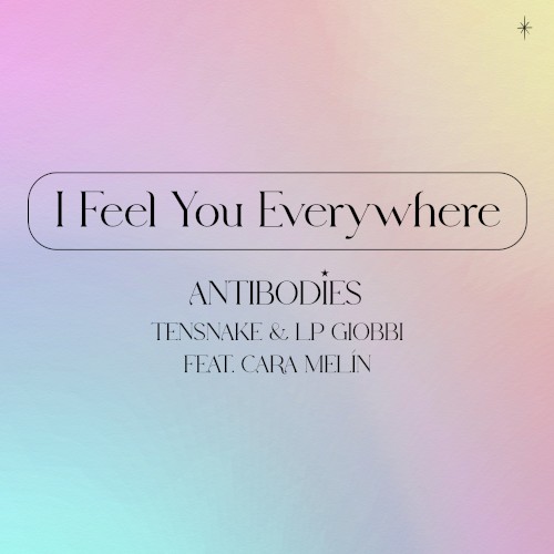 I Feel You Everywhere (Antibodies)