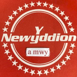 Y Newyddion (A Mwy 1979–81)