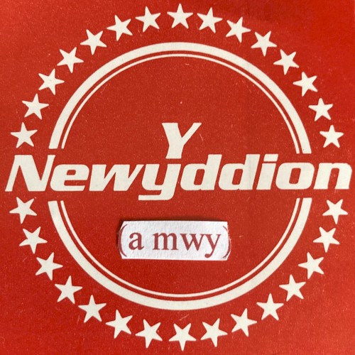 Y Newyddion (A Mwy 1979–81)