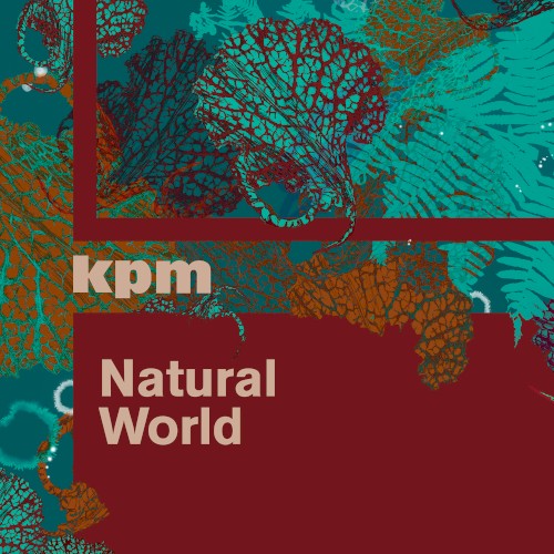 Natural World