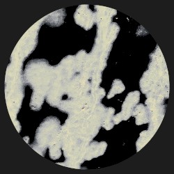 SKUDGE 015