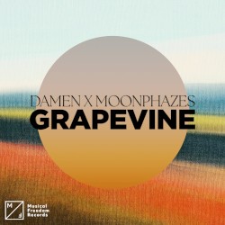 Grapevine