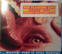 Yeah, I Know It’s a Drag… Wastin’ Pigs Is Still Radical