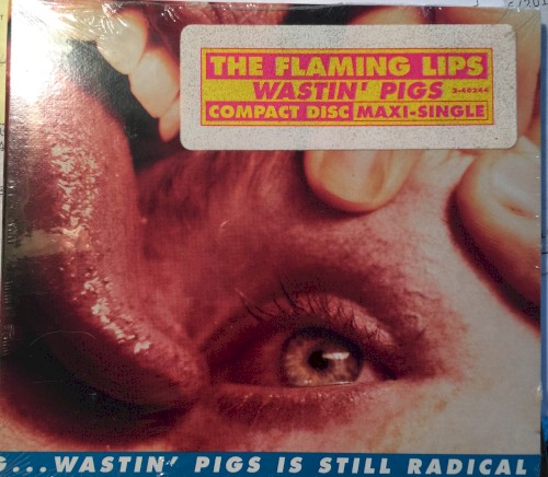 Yeah, I Know It’s a Drag… Wastin’ Pigs Is Still Radical
