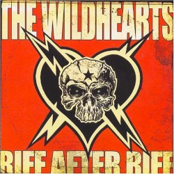 Riff After Riff After Motherfucking Riff