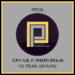 The Feeling (Remixes)