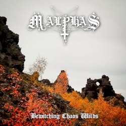 Bewitching Chaos Wilds