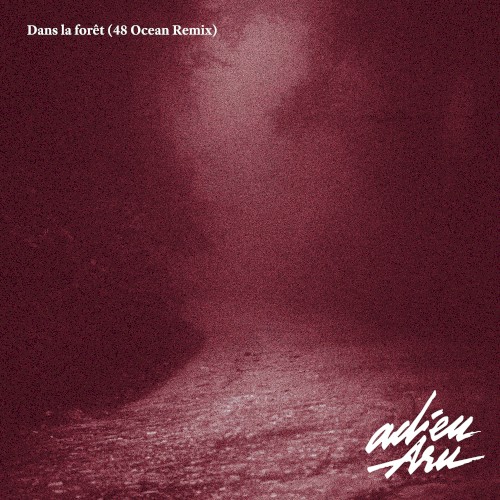 Dans la forêt (48 Ocean Remix)