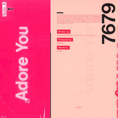 Adore You