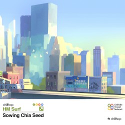 Sowing Chia Seed