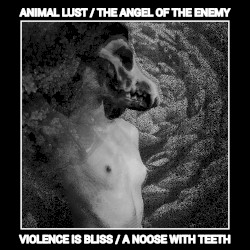 VIOLENCE IS BLISS / A NOOSE WITH TEETH