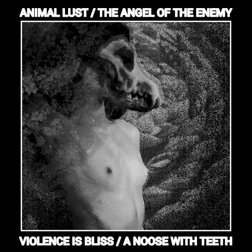 VIOLENCE IS BLISS / A NOOSE WITH TEETH