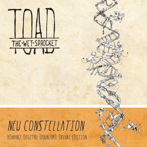 New Constellation