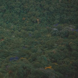 Overstanding