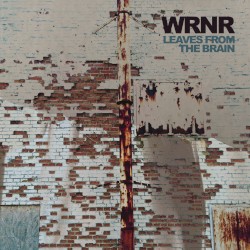 Leaves From the Brain