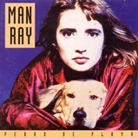 Perro de playa