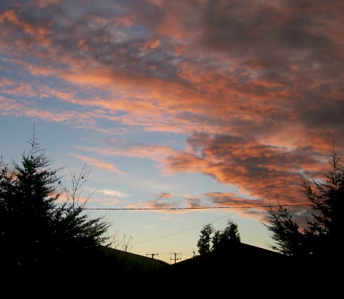 Dawn, North Paterson