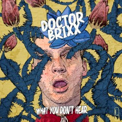 What You Don’t Hear: A The Story So Far Mashup Album