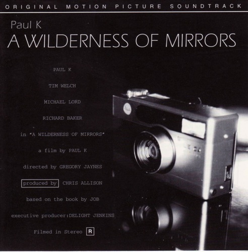 A Wilderness of Mirrors