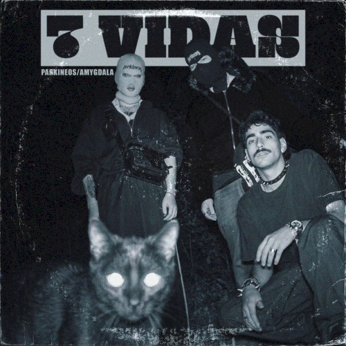 7 VIDAS