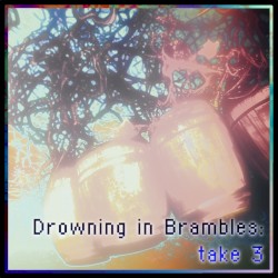Drowning in Brambles: Take 3