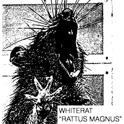 Rattus Magnus