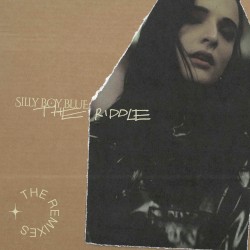 The Riddle (The Remixes)